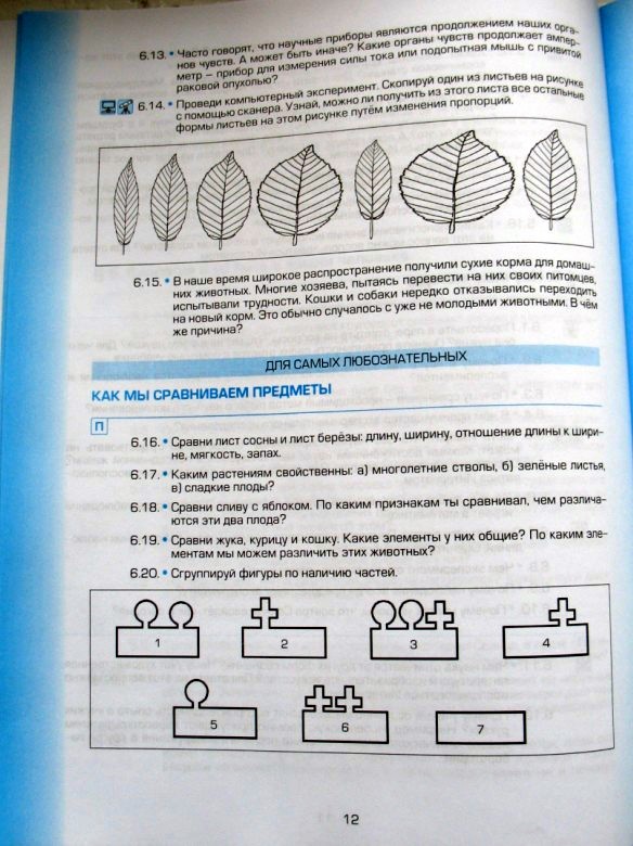 биозад_7.jpg